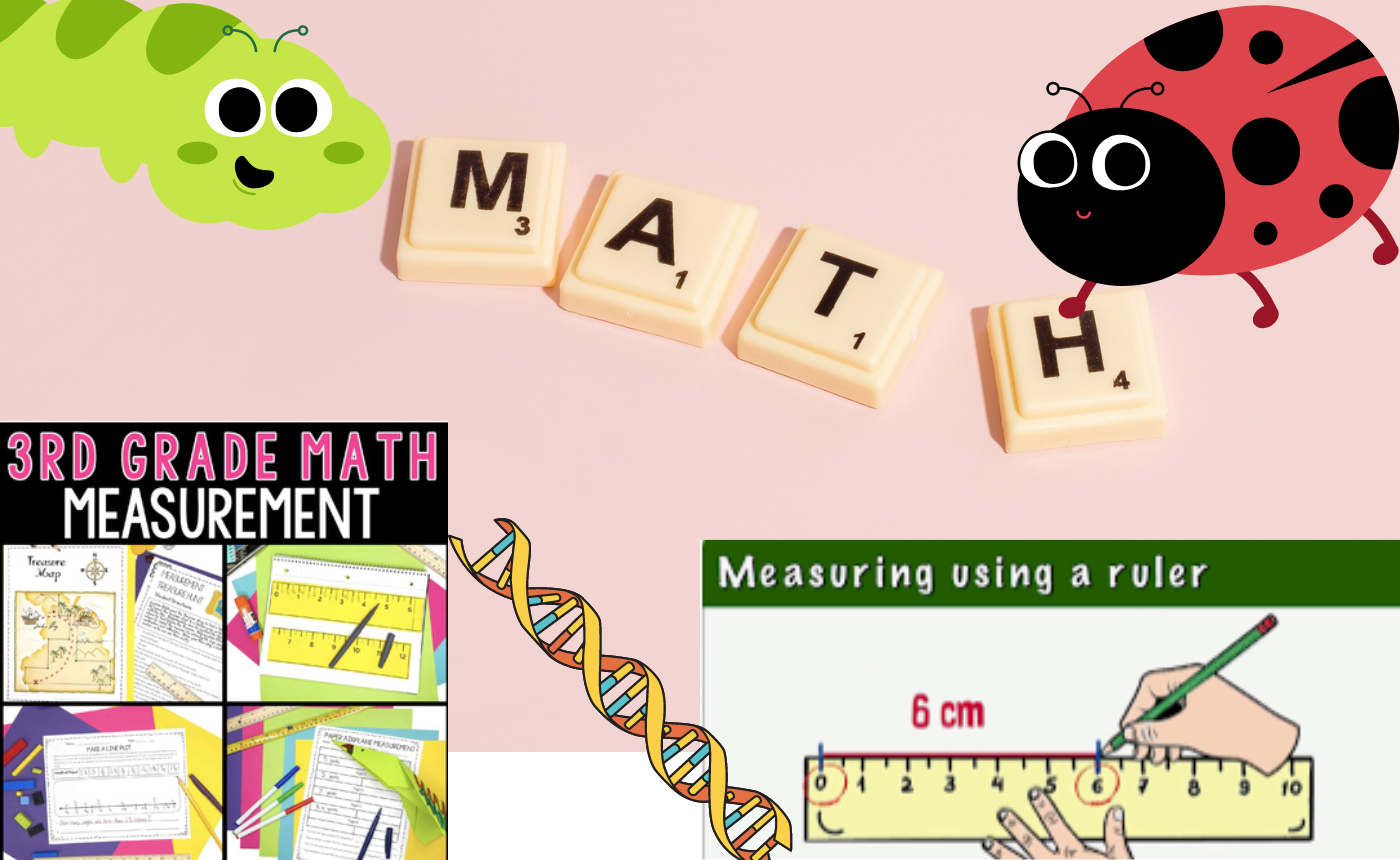 P3 Maths Chp 6 – Length
