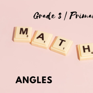 P3 Maths Angles